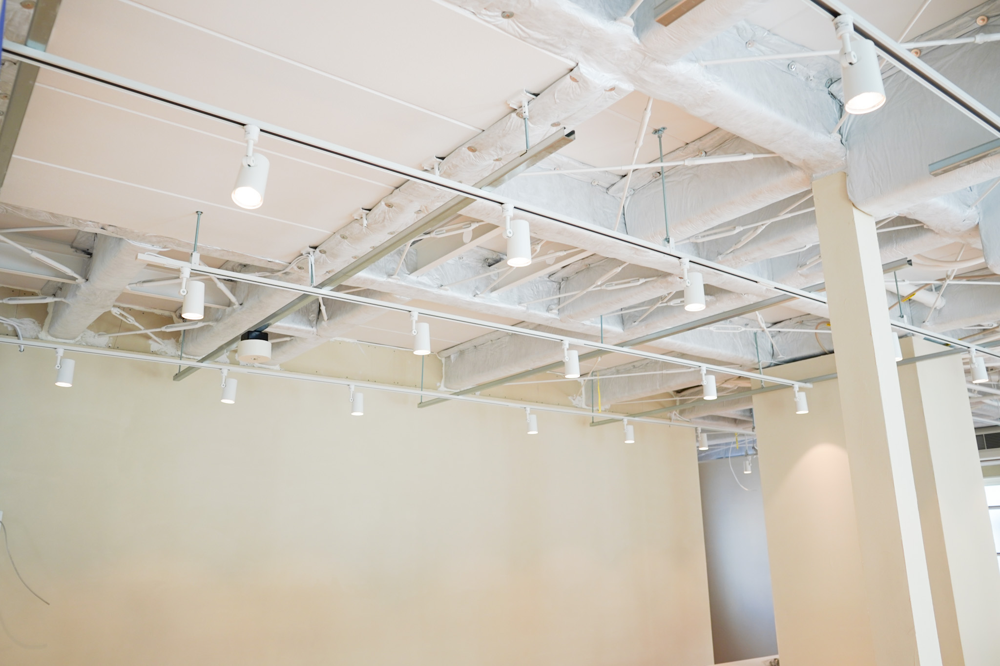 共有スペース-天井